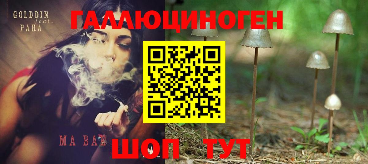 Псилоцибиновые грибы Psilocybe Тайшет